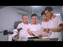 ตงกวน ฟางเซิง แอลซีดี จำกัด